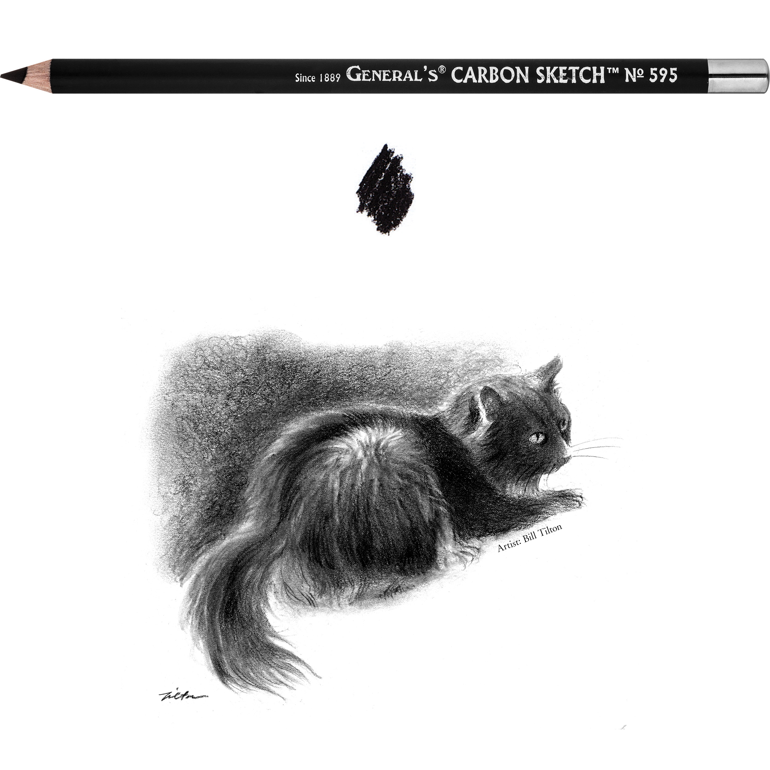 A realistic black cat, crouching with detailed fur and shading, is sketched in carbon pencil beneath a Carbon Sketch™ Pencil and a scribble sample.