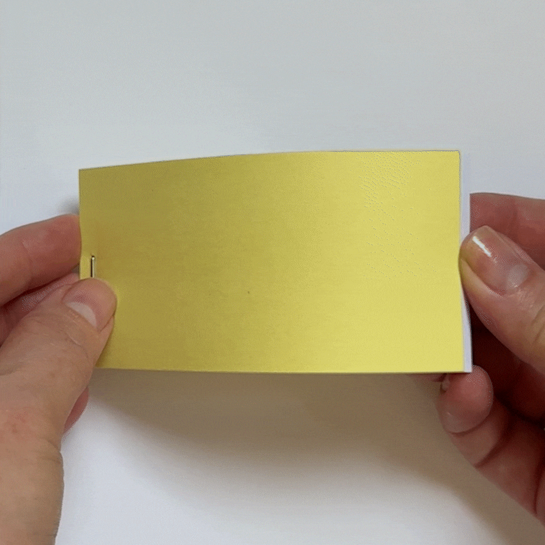 Someone flips through the "Create Your Own Flipbooks!" set, revealing an animation of a simple flower blooming on crisp white pages.