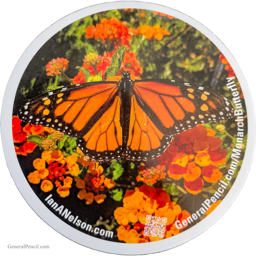 A monarch butterfly with vibrant orange and black wings rests on bright orange and yellow flowers. Surrounding text includes a website URL and social media handle.