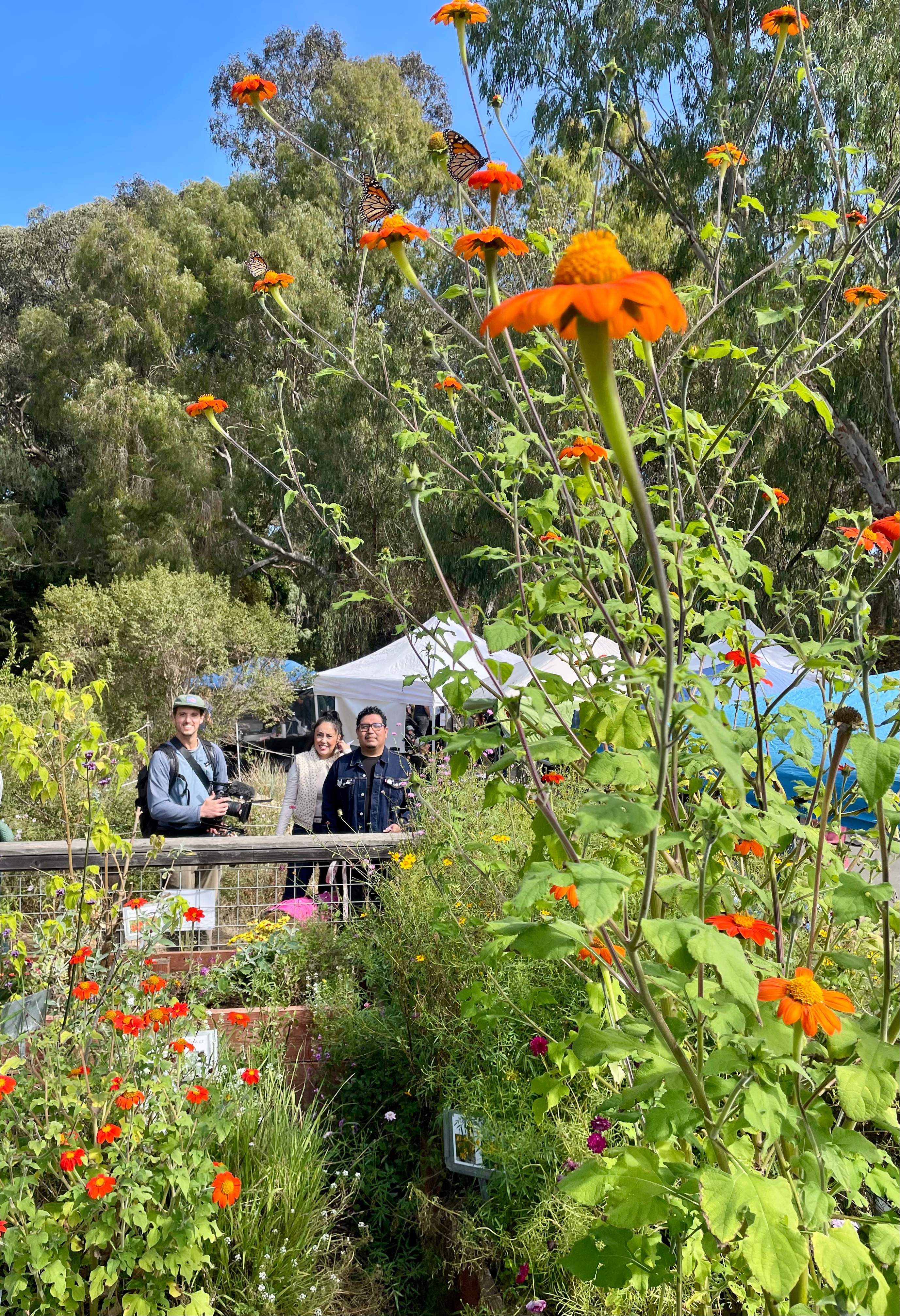 Three people stand on a garden walkway behind tall orange flowers and lush greenery, with trees and blue sky in the background.