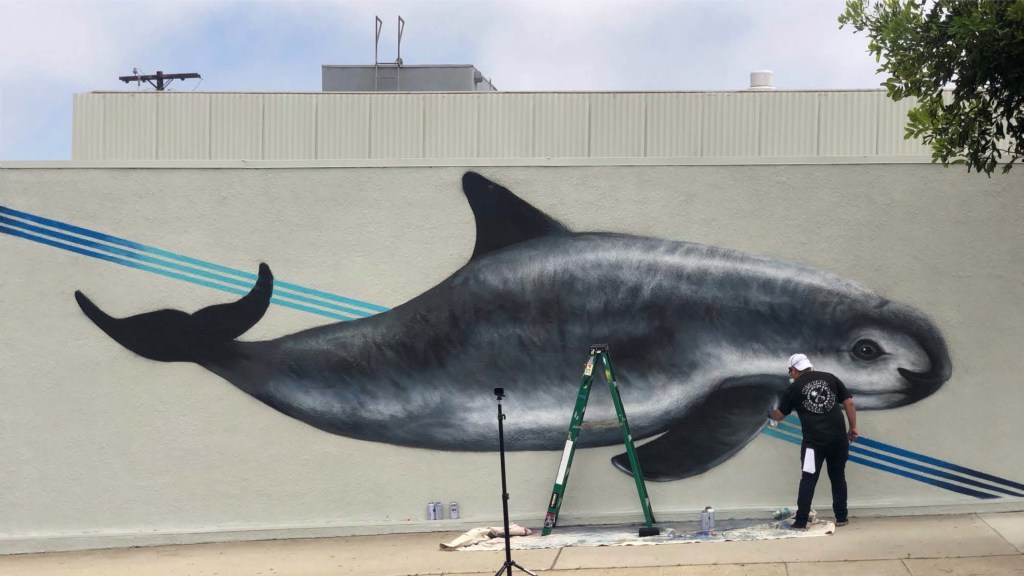 Jonathan Martinez paints a large mural of a vaquita, an endangered porpoise, on a white wall. A ladder and painting supplies are visible in front of the mural. Blue diagonal stripes are painted behind the vaquita.