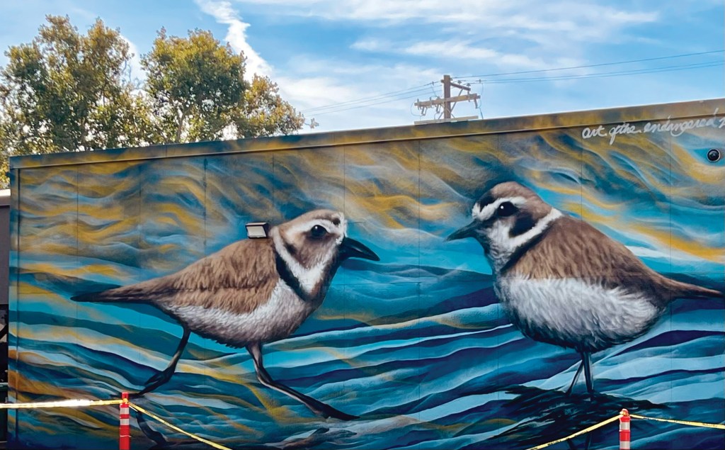 A mural on a building wall depicts two plover birds standing on abstract blue and yellow waves, with trees and a power line visible in the background.